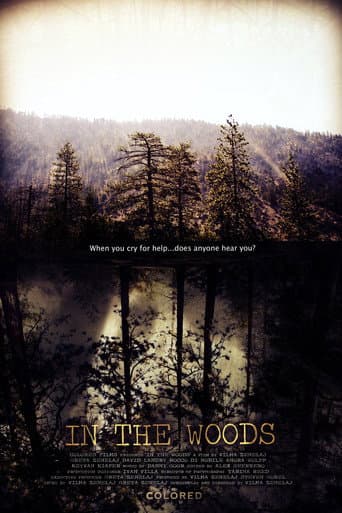 Poster for In the Woods
