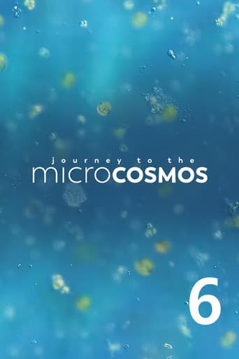 Poster for Season 6