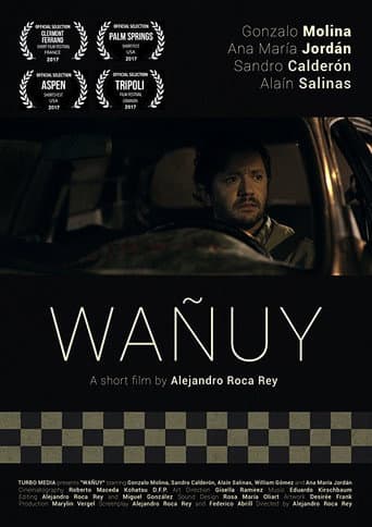 Poster for Wañuy