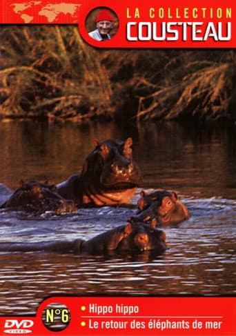 Poster for The Cousteau Collection N°6-1 | Hippo, Hippo