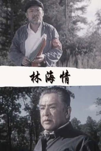 Poster for 林海情