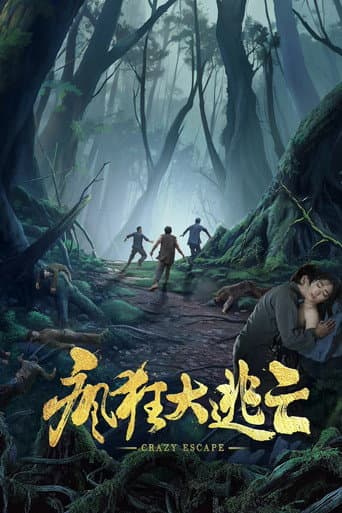 Poster for 疯狂大逃亡