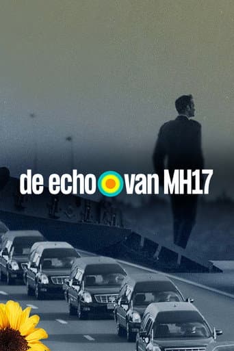 Poster for De echo van MH17