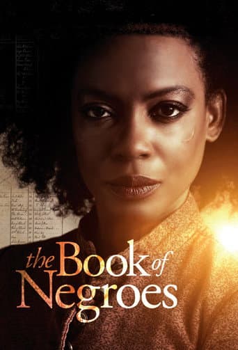 Poster for Miniseries