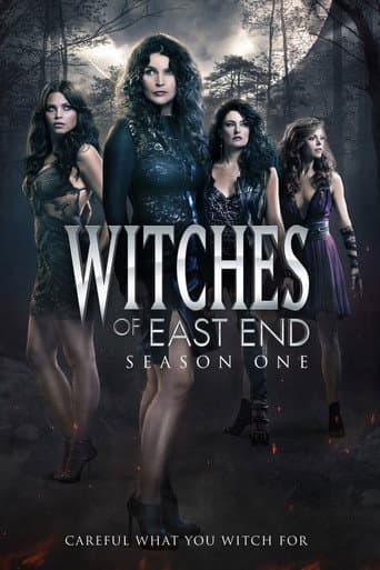 Poster for Season 1