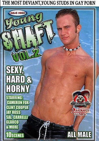 Poster for Young Shaft 2