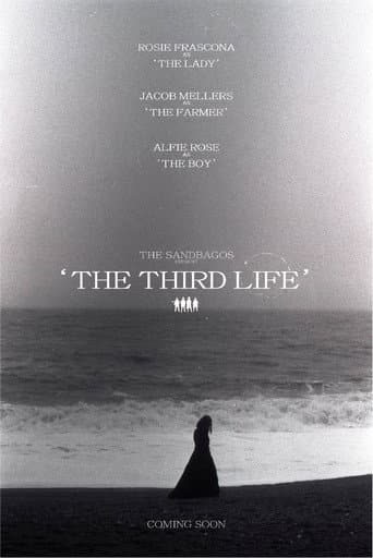 Poster for The Third Life