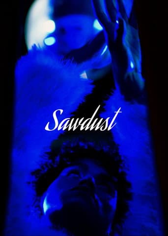 Poster for Sawdust