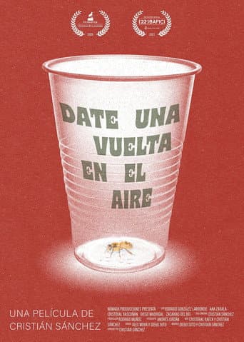 Poster for Take a Spin in the Air