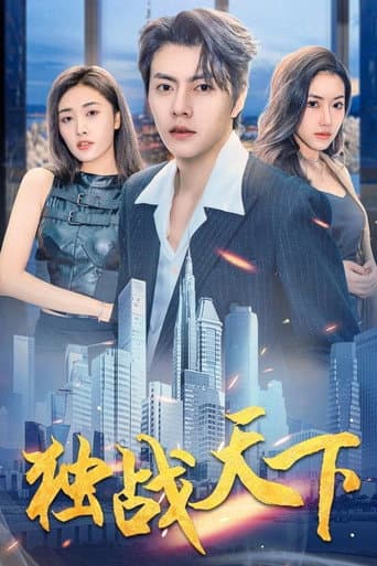 Poster for 独战天下
