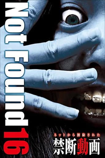 Poster for Not Found 16