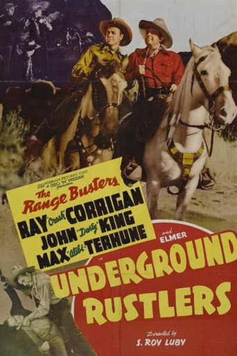 Poster for Underground Rustlers