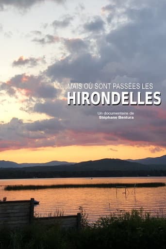 Poster for Où sont passées les hirondelles ?
