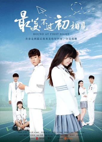 Poster for Bound at First Sight