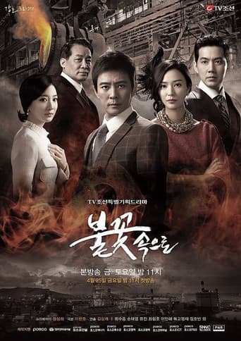 Poster for 불꽃속으로