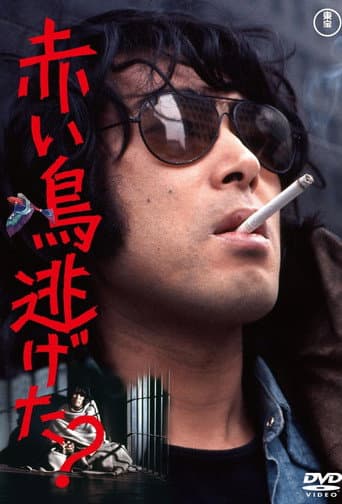 Poster for Did the Red Bird Escape?
