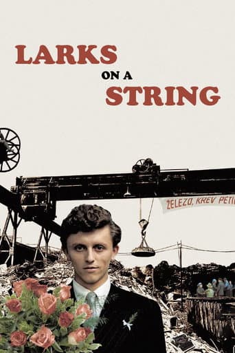 Poster for Larks on a String