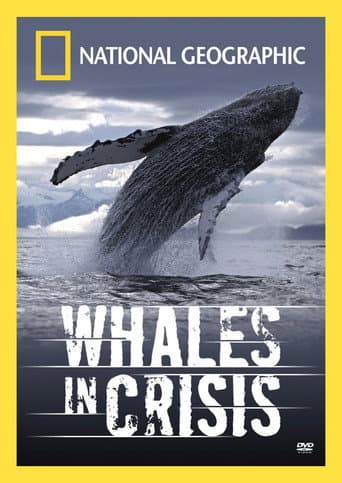 Poster for Whales in Crisis