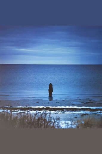 Poster for Steven Wilson: Catalogue / Preserve / Amass