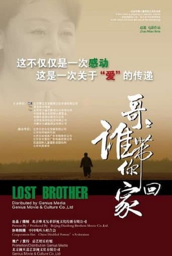 Poster for 哥哥，谁带你回家