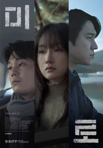 Poster for Maze