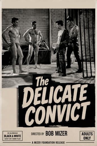 Poster for Delicate Convict