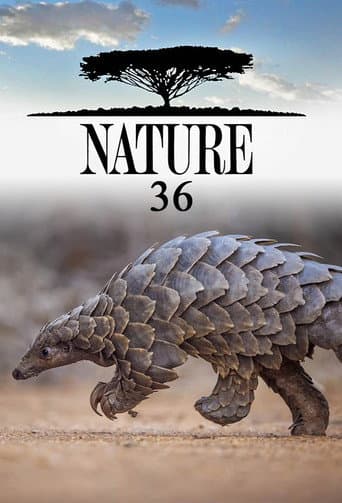 Poster for Season 36