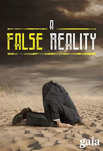 Poster for A False Reality