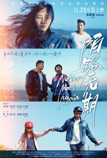 Poster for Never Meet Again
