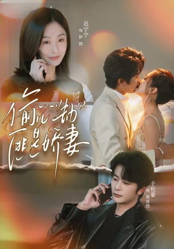 Poster for 偷“心”劫匪是娇妻