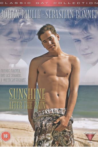 Poster for Sunshine After the Rain