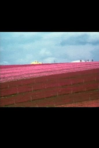 Poster for Flower Fields