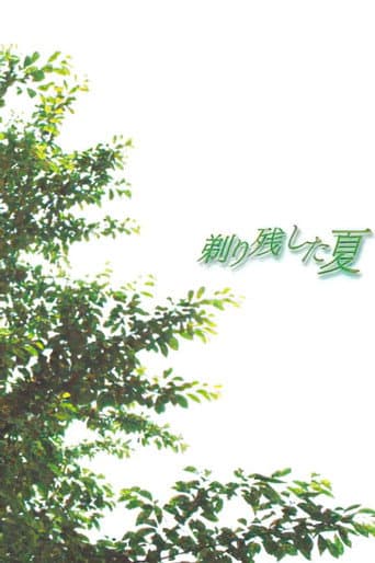 Poster for Summer of Leftover Stubble