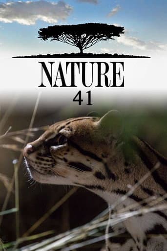 Poster for Season 41