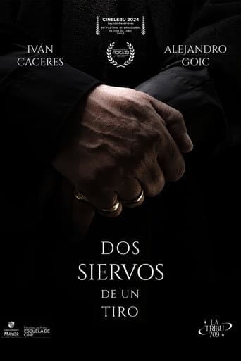 Poster for TWO SERVANTS. ONE STONE