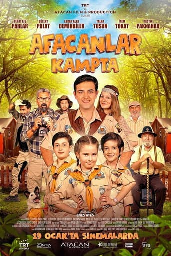 Poster for Afacanlar Kampta
