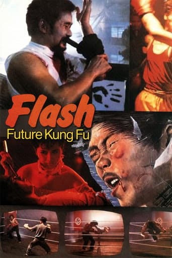 Poster for Flash Future Kung Fu