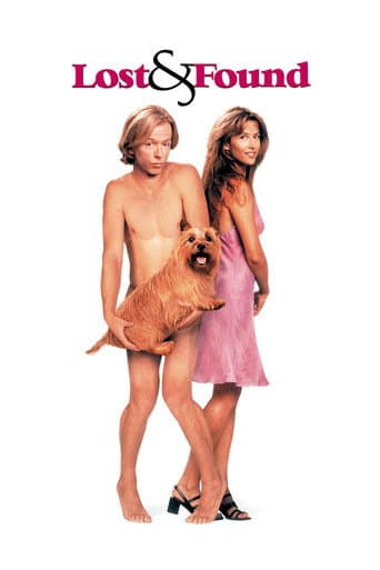 Poster for Lost & Found