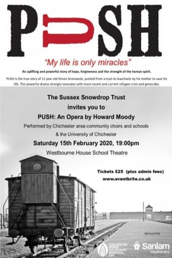 Poster for Push - Moody