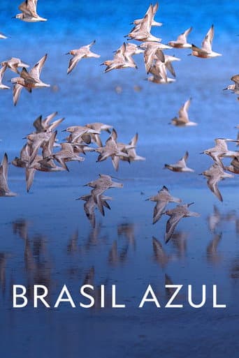 Poster for Blue Brazil