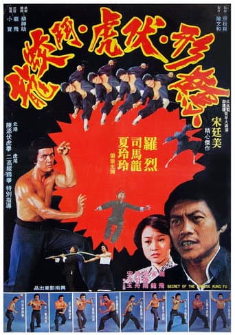 Poster for Secret of Chinese Kung Fu