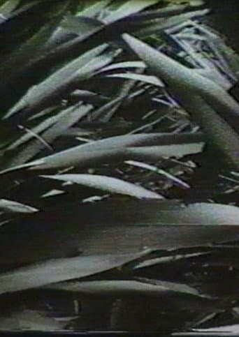 Poster for Sensation '77: Mimicry