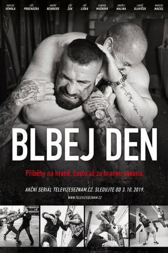 Poster for Blbej den