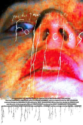 Poster for FOLLICLES