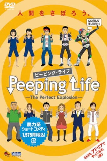 Poster for The Perfect Explosion