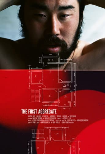 Poster for The First Aggregate
