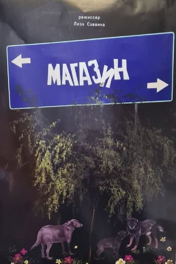 Poster for The Store