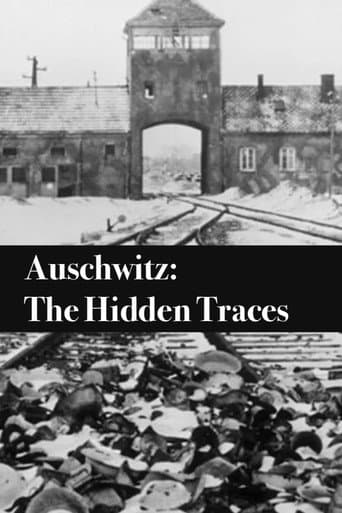 Poster for Auschwitz: The Hidden Traces