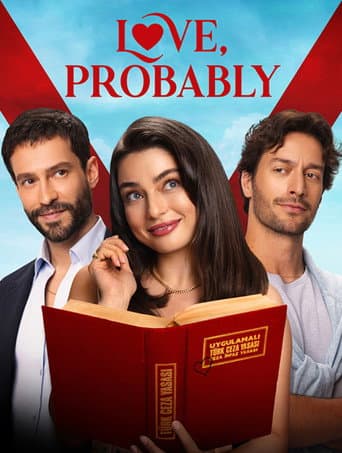 Poster for Possible Love