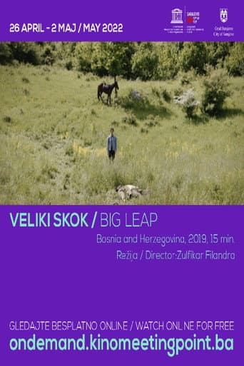 Poster for Big Leap